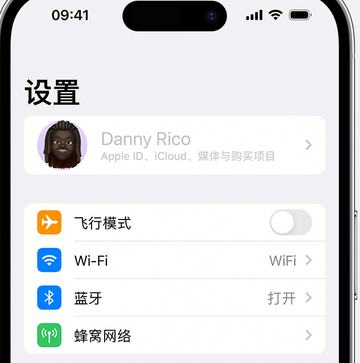 白银appleID维修服务iPhone设置中Apple ID显示为灰色无法使用 