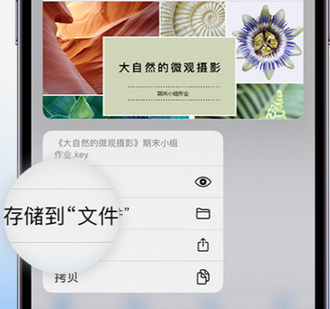 白银apple维修中心分享iPhone文件应用中存储和找到下载文件