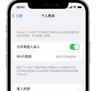 白银apple服务站点分享iPhone上个人热点丢失了怎么办 