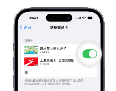 白银apple维修点分享iPhone上更换Apple Pay快捷交通卡手绘卡面 