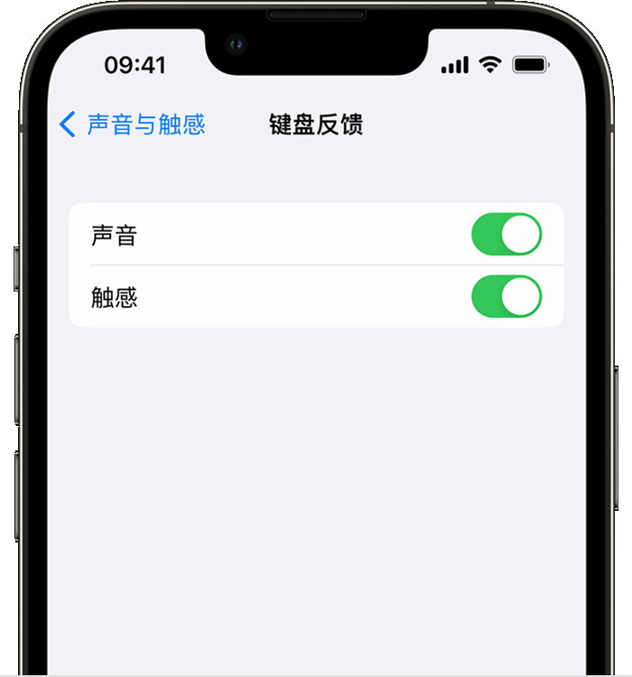 白银苹果14维修店分享如何在 iPhone 14 机型中使用触感键盘 