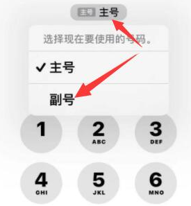 白银苹果14维修店分享iPhone 14 Pro Max使用副卡打电话的方法 