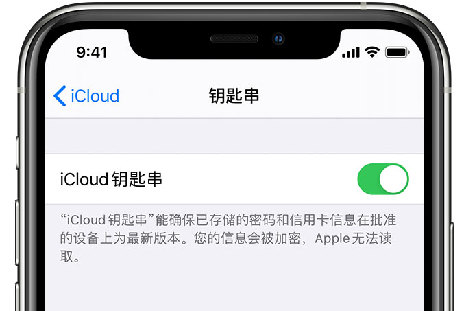 白银苹果手机维修分享在 iPhone 上开启 iCloud 钥匙串之后会储存哪些信息 