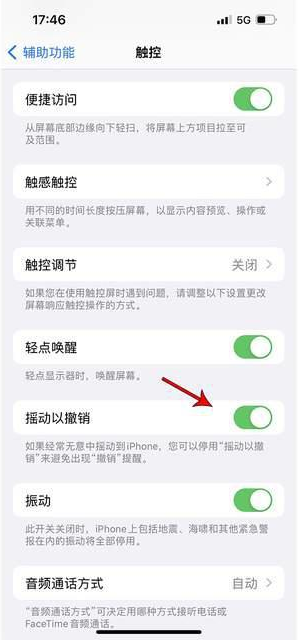 白银苹果手机维修分享iPhone手机如何设置摇一摇删除文字 